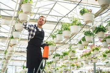 Wall Mural - Florist man working in garden center. Successful employee is in a bright greenhouse