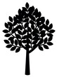 Flat tree icon, leaves on the branches. The black symbol. Concept of ecology. Vector illustration isolated on white background.