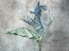 Parrot On Big Banana Leaves. Grunge Photo Wallpaper With Abstract Elements On Concrete Background. Illustration For Wallpaper, Fresco, Mural, Poster, Card.