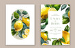 © ku4erashka - Wedding Invitation Card with Lemon Brunches.