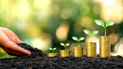 hands that are putting soil on trees growing on gold coins and natural background. concept of succes