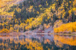 Reflection of yellow autumn trees on hillside in tranquil lake, Crystal Lake, Ouray, Colorado, United States