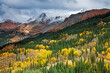 Yellow autumn trees on hillside below snowcapped mountain, Red Mountain Pass, Colorado, United States