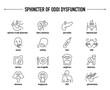 Sphincter of Oddi Dysfunction symptoms, diagnostic and treatment vector icon set. Line editable medical icons.