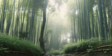 Fototapeta Sypialnia - Arashiyama Bamboo Grove
