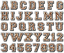 Font And Number With Leopard Skin Texture Abstract Vector Pattern Alphabet Collection