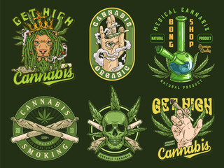 Poster - Cannabis industry colorful set flyer