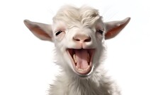 Smiling Cheerful Goat On A White Background. Generative AI.