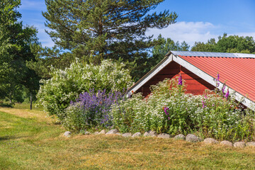 Canvas Print - Flowering flower bed in a garden