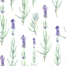 Seamless Patterns  With French   Provence Lavender, Vintage  Floral Elements. Digital Papaer.  Stock Illustration On A White Background. Hand Painted In Watercolor.