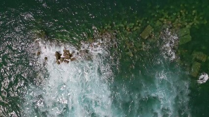 Wall Mural - Aerial view of waves breaking against a manmade breakwater off the coast