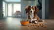 A dog and a bowl of dry food in a modern apartment on the floor, food, diet. generated ai.