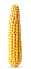 Wall Mural - Ear of corn