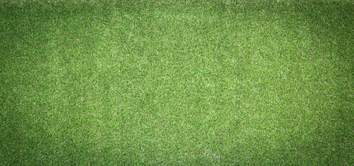 Canvas Print - green grass background