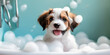 Baby cute puppy dog in bathtub with shampoo foam , Happy dog ​​takes a bath , Created with generative AI