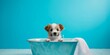 Dog puppy, taking a bath in the bathtub, Generative AI