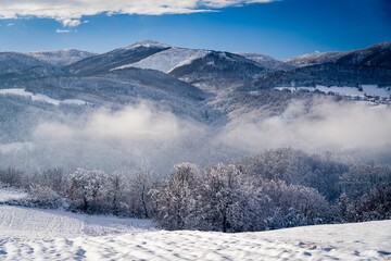 Sticker - Elevated view of a winter landscape featuring a snow-covered hill and a woodland area below