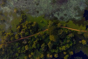 Poster - Aerial view of a road winding through the lush green woods.