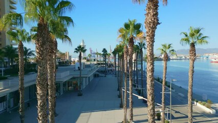 Canvas Print - Beautiful view of the palm trees on the sea beach in Malaga, Spain