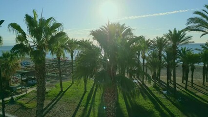 Wall Mural - Beautiful view of the sea beach with palm trees in Malaga, Spain