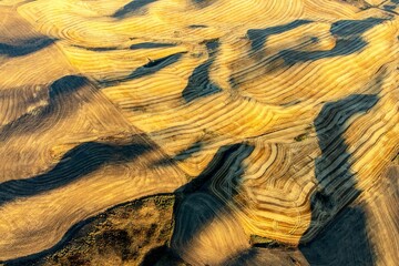 Wall Mural - Aerial shot of golden wheat fields in the rolling hills of the Palouse region in Washington State