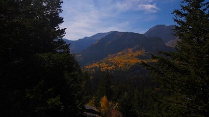 Wall Mural - stunning and colorful drone footage of the alpine loop in utah during the fall