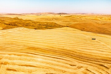 Sticker - Beautiful view of a harvested wheat field with a rolling hill surface