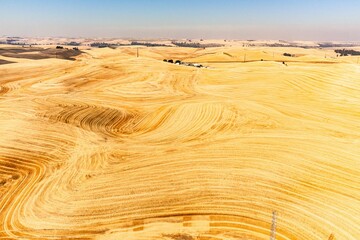 Sticker - Beautiful view of a harvested wheat field with a rolling hill surface