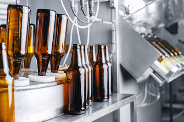 Disinfection and pasteurization process of glass bottles for bottling beer. Brewery factory plant production line