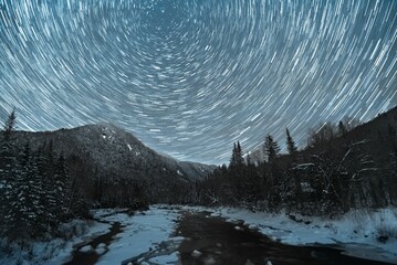 Wall Mural - View of the star trails over the forest. Jacques-Cartier National Park, Quebec, Canada.