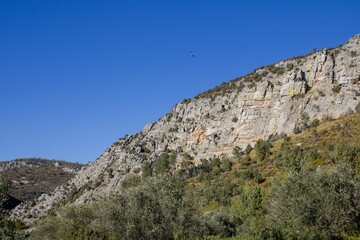 Poster - Beautiful landscape of green hills on a sunny day