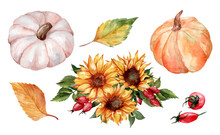 Bright Collection With Realistic Watercolor Autumn Leaves, Yellow Flowers And Pumpkins Isolated On White Background. Autumn Harvest