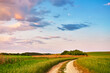 Rural road in fields and meadows at sunset time in summer. Beautiful agriculture landscape with trees, hills, green grass, clouds. Dirt empty path in growing wheat and cereals panorama.