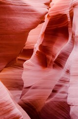 Sticker - Vertical shot of the beautifully smooth and red sandstone walls of Antelope Canyon in Arizona, USA