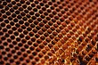 © Paul Lascar/Wirestock Creators - Closeup shot of a texture of a honeycomb