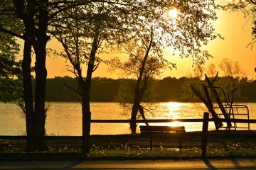 Canvas Print - Silhouettes of trees against the background of the lake and sky at sunset. Moline, Illinois, USA.