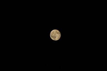 Wall Mural - Breathtaking view of the yellow full moon in the black night sky