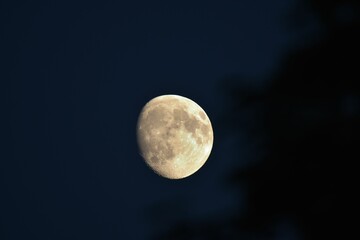 Wall Mural - Beautiful shot of the textured surface of the moon in a dark sky