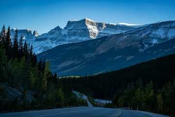 Sticker - Road surrounded by green trees, with illuminated rocky mountains with snowy tops, on a sunny day