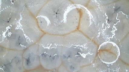 Wall Mural - Rotating drone shot of frozen ice and abstract patterns on a river in winter in Latvia.