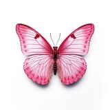 Fototapeta Motyle - beautiful butterfly isolated on white | Generative AI 