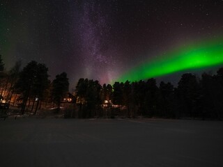 Sticker - Beautiful landscape of polar lights in the night sky over the forest