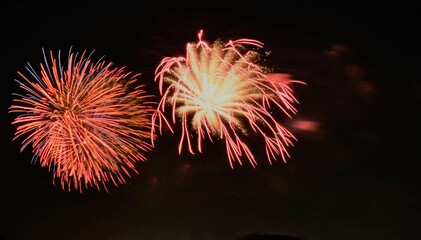 Canvas Print - Fireworks lit up in the night sky