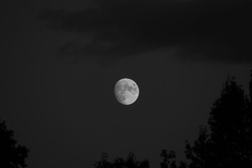 Sticker - Beautiful view of a full moon in the dark sky over the field