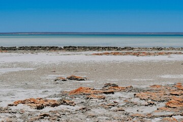 Wall Mural - Dry empty field on a sunny day with a sea in the background