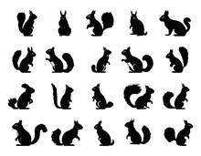 Squirrel Silhouettes Set Illustration Vector