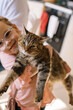 © Serena Burroughs/Stocksy - Cute happy toddler girl holding up her pet cat at home in kitchen