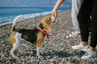 © Duet Postscriptum/Stocksy - A young woman trains dog on the beach
