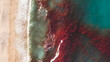 © Akela - from alp to alp/Stocksy - red tide on shore