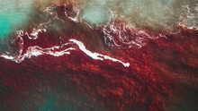 red algae bloom from above